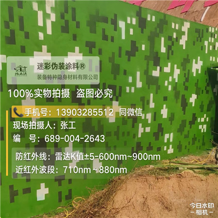 长沙星空迷彩漆，夏令营训练,数码迷彩作训墙,围墙